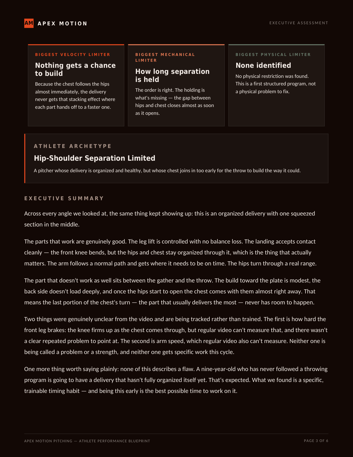 Executive Assessment — the biggest velocity limiter explained in plain language